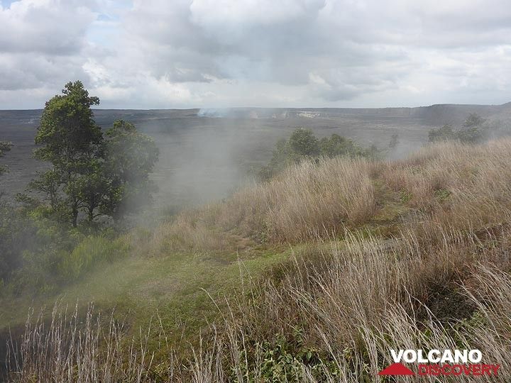 Tag 3: Dampf steigt aus Entlüftungsöffnungen am nördlichen Rand der Kilauea-Caldera auf (Haleam´uma´u-Krater im zentralen Hintergrund) (Photo: Ingrid Smet)