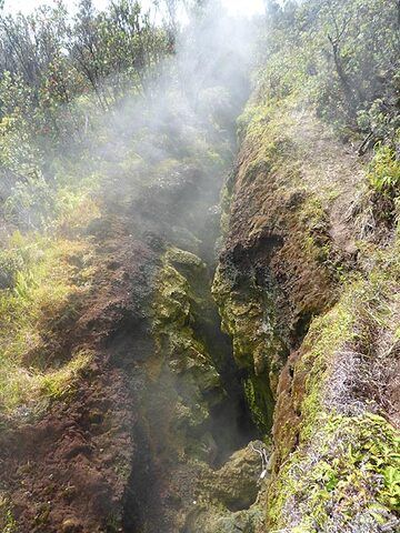 Day 3: Different colours restul from steam and other volcanic gasses rising up along fractures. Despite the heat, these steam vents are vegetated by particular plants that love the moist and warmth (Photo: Ingrid Smet)