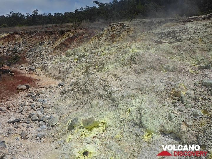 Tag 3: Sulphur Banks ist ein Gebiet nordnordöstlich des Caldera-Randes von Kilauea, in dem vulkanische Gase, die mit dem Grundwasser interagieren und durch tiefliegende Brüche aufsteigen, neben anderen Mineralien auch Schwefelkristalle ablagern (Photo: Ingrid Smet)