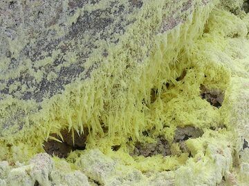 Jour 3 : Plus près des évents (chauds), les cristaux de soufre sont d'un jaune plus intense et ont une forme d'aiguilles, tandis que plus loin de l'évent, où les températures sont inférieures à 90 degrés, les cristaux de soufre ont une forme plus cubique (isométrique). (Photo: Ingrid Smet)