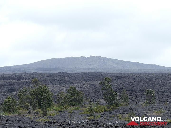 Jour 3 : Vue du bouclier de lave du Mauna Ulu construit lors de l'éruption de 1969 à 1974 (Photo: Ingrid Smet)