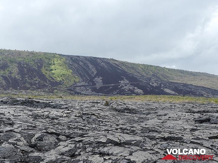 Jour 3 : La route descend le Holei Pali (pali est un mot hawaïen pour falaise, désignant les pentes plus abruptes le long des flancs des volcans boucliers) le long duquel des rubans de couleur sombre représentent des coulées de lave récentes. (Photo: Ingrid Smet)