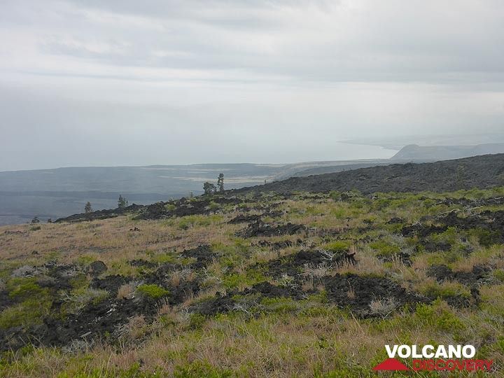 Tag 3: Blick von den ausgedehnten Lavafeldern südlich der East Rift Zone auf die Küste (Photo: Ingrid Smet)