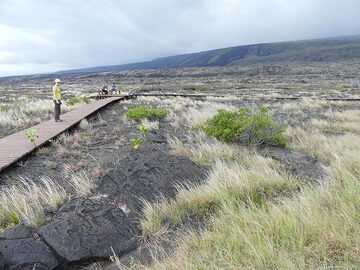 Tag 3: Erkundung des Holzstegs rund um die Petroglyphen von Pu´u Loa (Photo: Ingrid Smet)