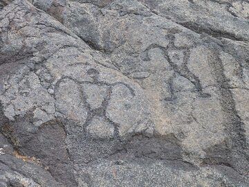 Day 3: Petroglyphs of human like figures - little is known of the many sites with petroglyphs that can be found across the islands of Hawaii, the oldest being estimated to date back 1000 years (Photo: Ingrid Smet)