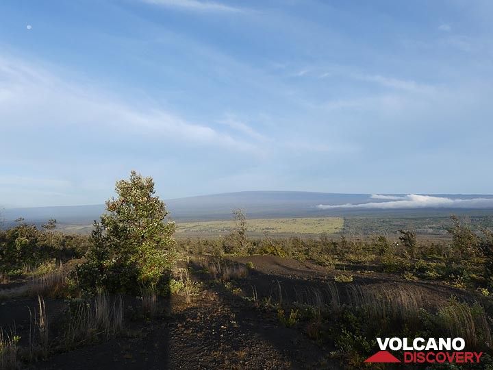 jour 3 : Vue vers le volcan bouclier Mauna Loa, le plus grand volcan de la planète (4 169 m d'altitude et sous-marin à environ 5 000 m du fond de l'océan) (Photo: Ingrid Smet)