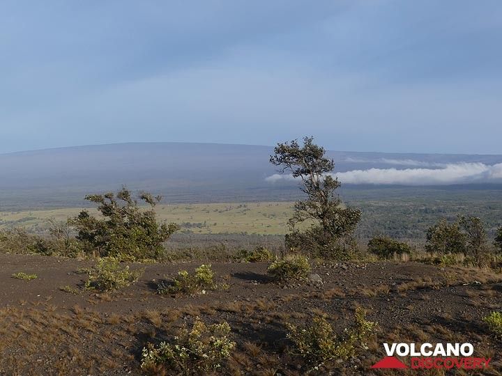 Day 3: Mauna Loa is the largest volcano on earth; 4169 m height above sealevel and submarine ca. 5000 m down to the ocean floor (Photo: Ingrid Smet)