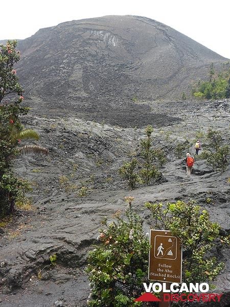 Day 6: Closer view of the 1959 cinder and spatter cone with the slump scars on the top left. These grooves formed when oversteepened slabs of congealed lava spatter broke loose and slid down the side of the cone. (Photo: Ingrid Smet)