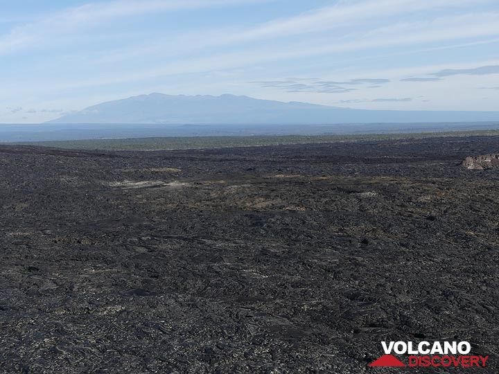 Jour 3 d'extension : Vue sur les vastes champs de lave de la zone du rift est du Kilauea vers la silhouette du Mauna Kea (Photo: Ingrid Smet)