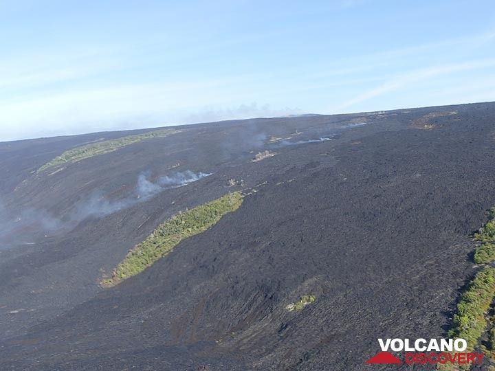 Extension day 3: Relatively young dark brown lava flows that went down the pali (steeper slope) left some islands of forest behind, known as ´kipukas´ . The trail of steam indicates where the lava is traveling underground towards the ocean entry (Photo: Ingrid Smet)