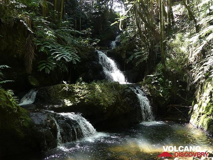 Verlängerungstag 4: Wasserfälle im Hawaii Tropical Botanical Garden (Photo: Ingrid Smet)