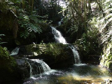 Jour d'extension 4 : Chutes d'eau du jardin botanique tropical d'Hawaï (Photo: Ingrid Smet)