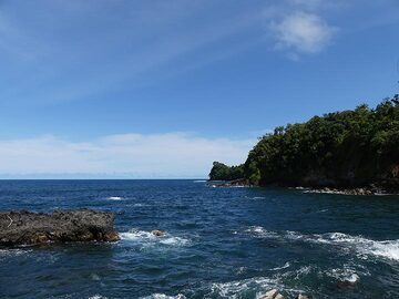 Extension day 4: Coast line in the Hawaii Tropical Botanical Garden (Photo: Ingrid Smet)