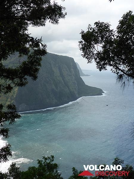 Extension day 5: Close(r) up of a high waterfall across the coastal cliffs of Waipi´o valley (Photo: Ingrid Smet)