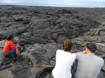 Taking pictures of the ever-changing lava. (Photo: Ingrid Smet)