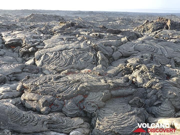 View over the immense coastal plain made from countless pahoehoe lava flows. (Photo: Ingrid Smet)