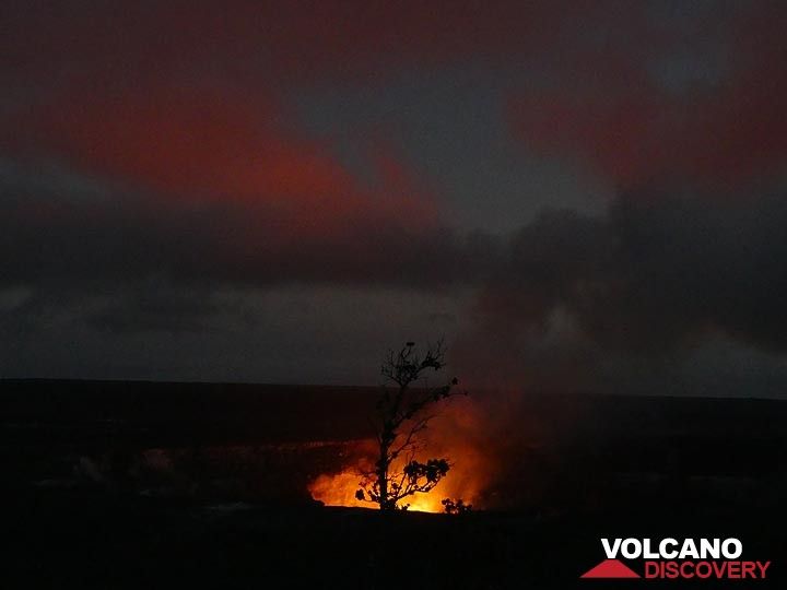 Silhouette eines Ohia-Lehua-Baums vor dem roten Schein über dem Halema'uma'u-Krater (Photo: Ingrid Smet)