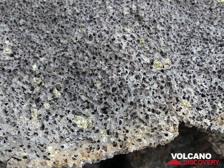 Les laves du Kilauea Iki 1959 transportaient beaucoup de gaz, désormais gelés sous forme de vésicules dans les roches refroidies, ainsi que d'innombrables cristaux d'olivine verte. (Photo: Ingrid Smet)
