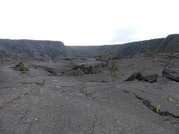 The final draining of lava back into the vent cracked and pushed up the lava lake's cooled crust as it sank down (Photo: Ingrid Smet)