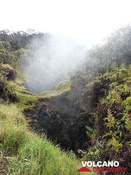 „Steaming Bluff“ ist ein Abschnitt am nördlichen Rand der Gipfel-Caldera des Kilauea, wo heißer Wasserdampf aus Rissen aufsteigt (Photo: Ingrid Smet)