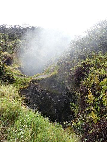 'Steaming Bluff' is a section alont the northern edge of Kilauea's summit caldera where hot water vapour rises up from cracks (Photo: Ingrid Smet)