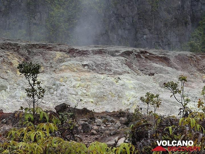 À un endroit, des gaz sulfureux s'élèvent également du magma en profondeur, entraînant des dépôts de soufre à la surface. (Photo: Ingrid Smet)