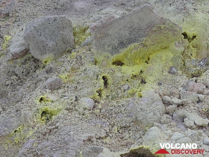 Sulphur Banks is a small hide dotted with bright yellow sulphur deposits forming from the volcanic gasses that rise up through surface (Photo: Ingrid Smet)