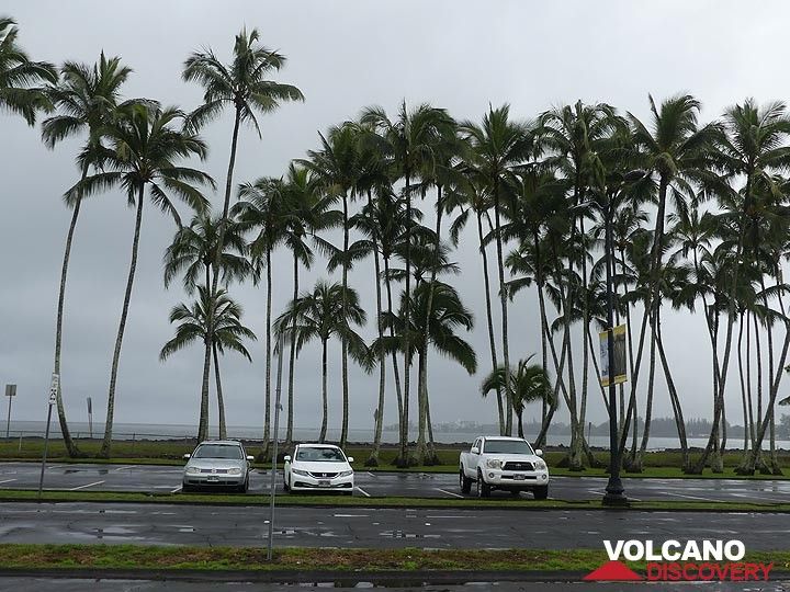 The ocean front at Hilo, the largest town on the Big Island, during a grey and stormy evening (Photo: Ingrid Smet)