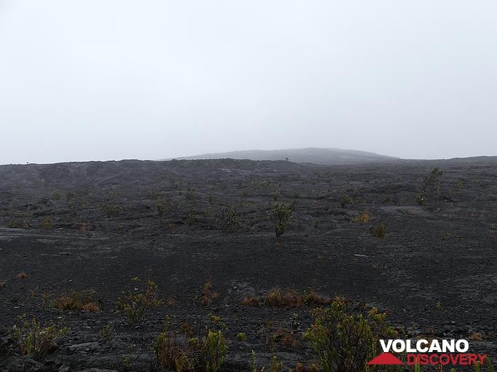 Der kleine Schild, der während der Mauna-Ulu-Eruption rund um den Hauptschlot entstanden ist, ist am Horizont im Hintergrund zu sehen, etwas links im Vordergrund befindet sich der hochgelegene Lavasee, der sich in den späteren Stadien dieser Eruption gebildet hat (Photo: Ingrid Smet)
