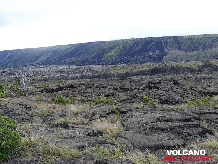 Blick von den Lavafeldern in Küstennähe auf das Pali, von dem Anfang der 1970er Jahre die dunkler gefärbten Lavaströme des Mauna Ulu herabflossen (Photo: Ingrid Smet)