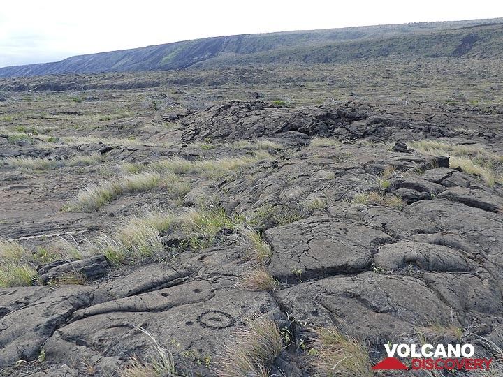 Die hawaiianischen Ureinwohner nutzten die Oberfläche der Lavaströme an der Küste für ihre Felsmalereien (Photo: Ingrid Smet)
