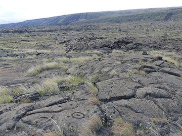 Die hawaiianischen Ureinwohner nutzten die Oberfläche der Lavaströme an der Küste für ihre Felsmalereien (Photo: Ingrid Smet)