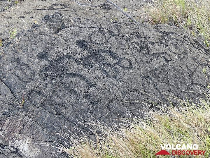 Pétroglyphes gravés dans les coulées de lave par des Hawaïens indigènes (Photo: Ingrid Smet)