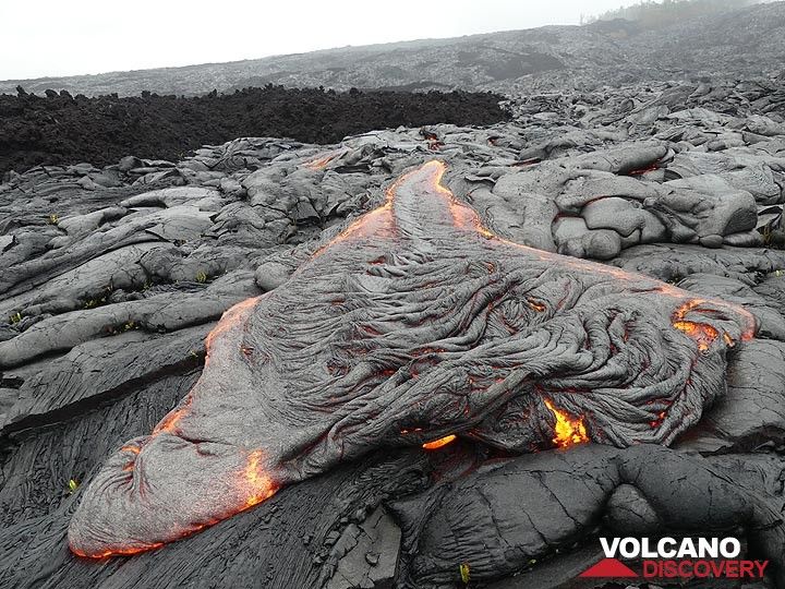 At the front of the pahoehoe lava flow the fresh thin silvery crust gets folded into ropes (Photo: Ingrid Smet)