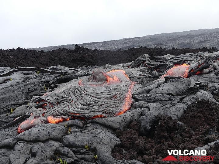 The active pahoehoe lava flows in front of the older blocky (dark brown) aa lava flow (Photo: Ingrid Smet)