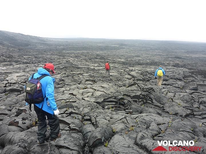 We eventually have to drag ourselves away from the active lava flow fronts and start our 3 hour hike back to the end of the Chain of Craters road (Photo: Ingrid Smet)