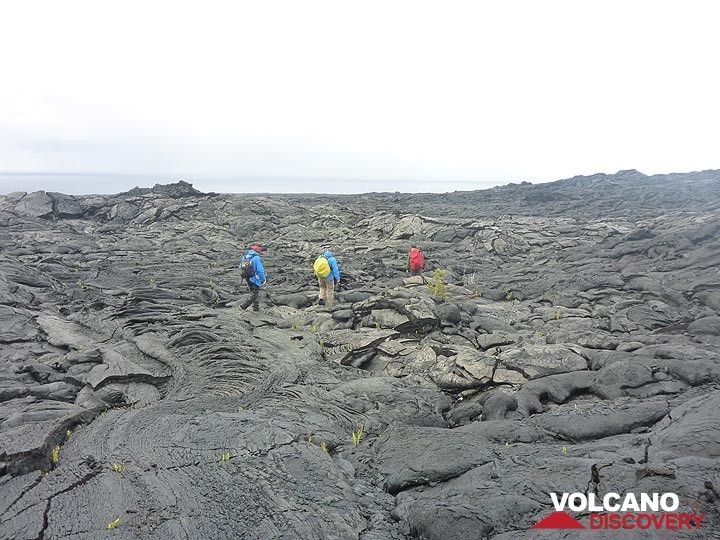 Hiking back across the older lava flows (Photo: Ingrid Smet)