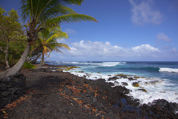 hawaii_i24107.jpg (Photo: Tom Pfeiffer)