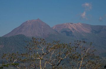 Le volcan jumeau Lewotobi Lakilaki et Lewotobi Perempuan (qui signifie « mari » et « femme ») est l'un des volcans les plus actifs de Flores. (Photo: Tom Pfeiffer)