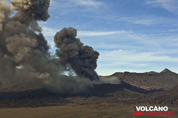Erupting Bromo volcano seen from Cemoro Lawang village on the caldera rim during 16 Feb. (Photo: Tom Pfeiffer)