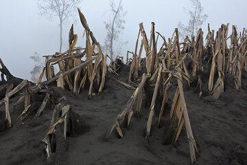 bromo_i43351.jpg (Photo: Tom Pfeiffer)