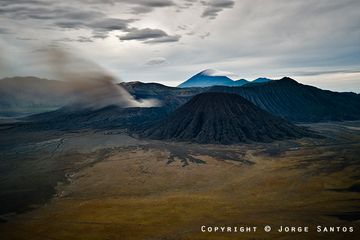 _D709520.jpg (Photo: Jorge Santos)