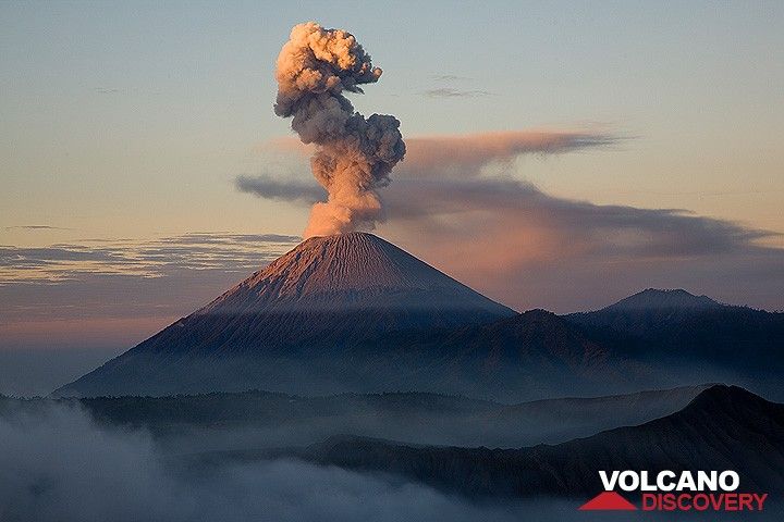 Ash eruption at Semeru in early light (Photo: Tom Pfeiffer)
