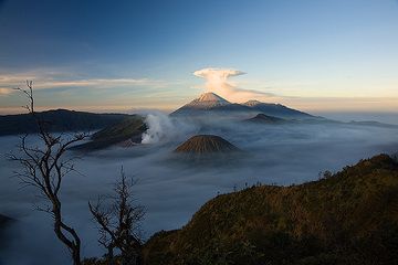 The caldera in the morning, Semeru with its umbrella cloud (c)