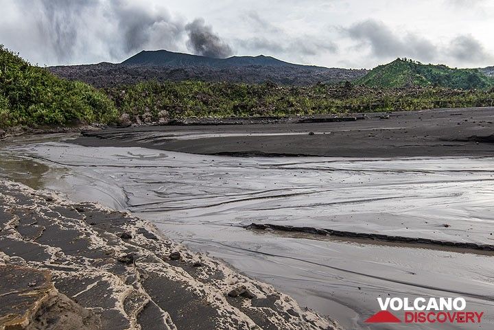 Ash plain at the campsite in an older crater below Dukono volcano (visible in background) (Photo: Tom Pfeiffer)