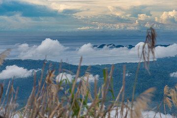 View from Ibu's crater rim to the west coast of Halmahera Island. (Photo: Tom Pfeiffer)