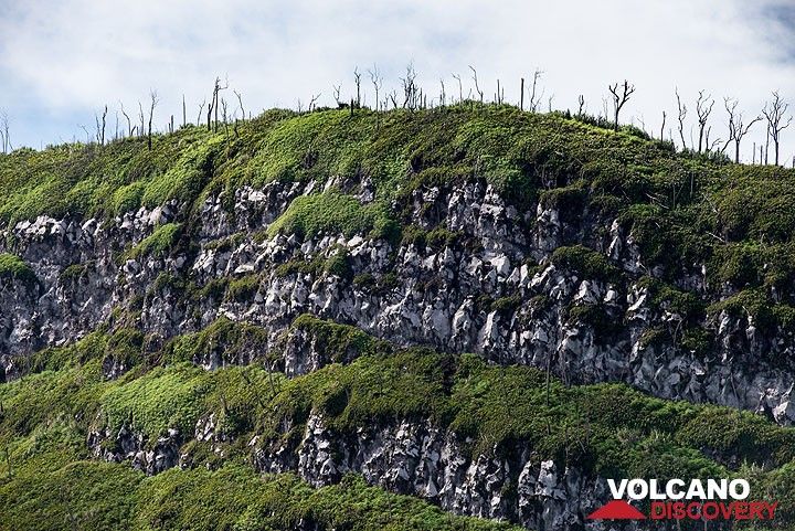 Layers of old lava flows exposed in the opposite crater wall. (Photo: Tom Pfeiffer)