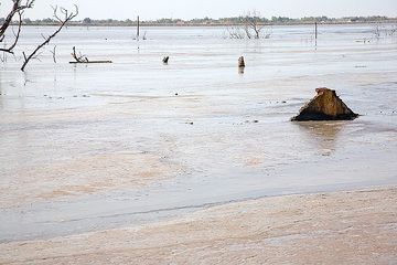 The mud has covered large areas where entire villages once stood. (Photo: Tom Pfeiffer)