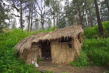 Little hut in the Welirang forest (Photo: Tobias Schorr)