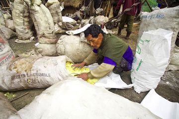 Los trabajadores del azufre en el volcán Welirang (Photo: Tobias Schorr)